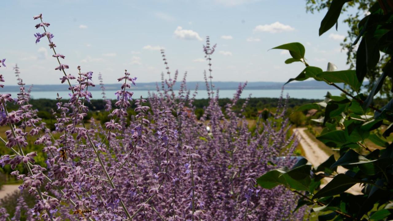 Fuerjes Udvarhaz Vászoly Exteriér fotografie